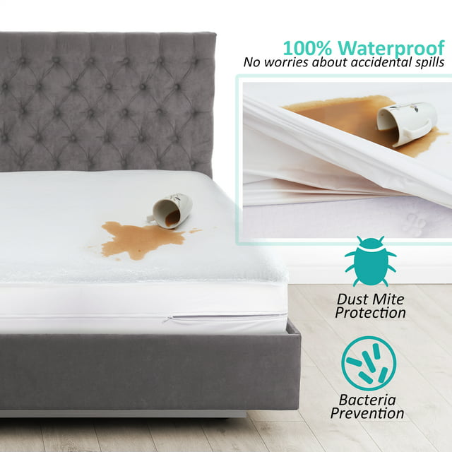 Get Rid Of Bed Bugs